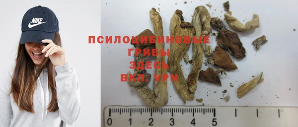 ешки Бронницы