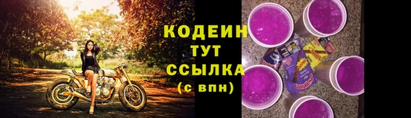 ешки Бронницы